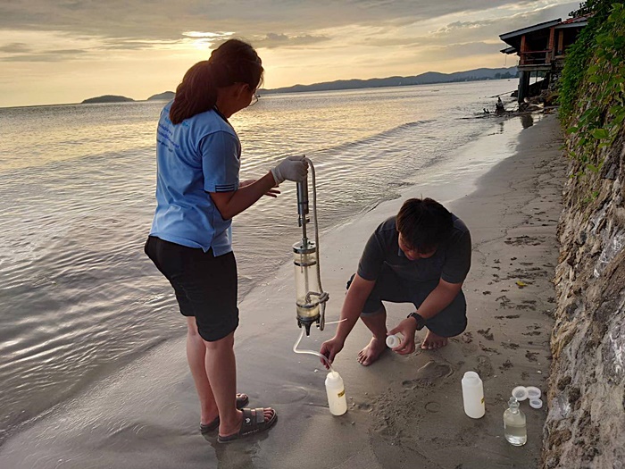  ปลิงทะเล