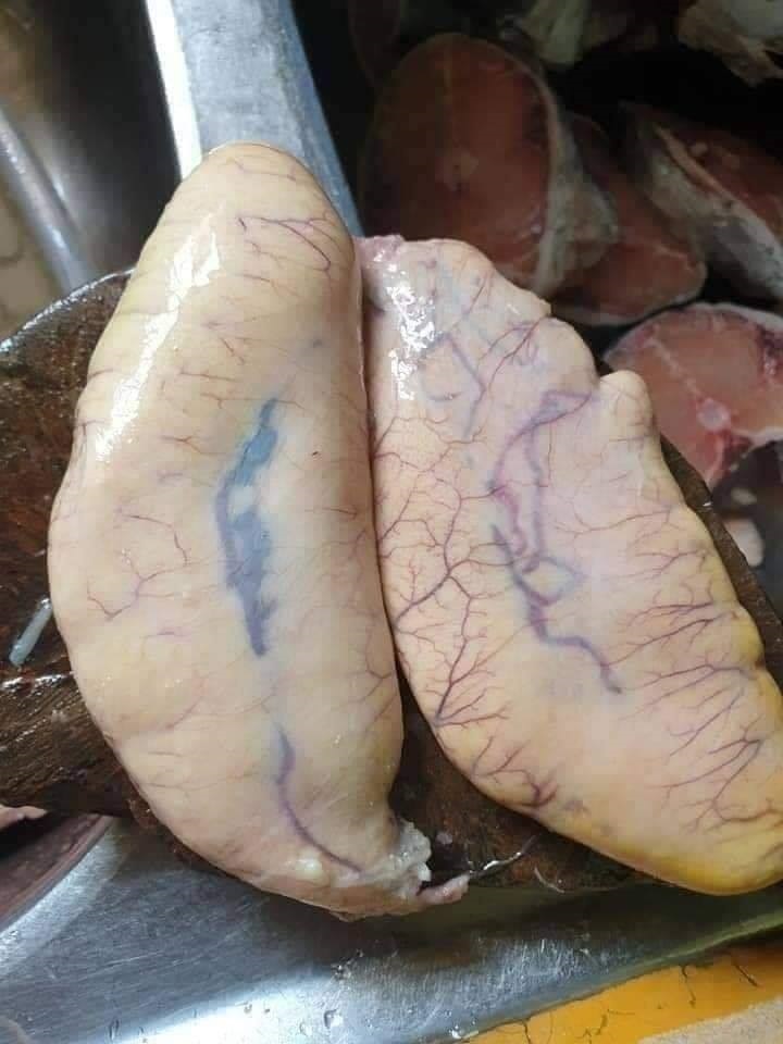 สะพรึง เส้นสีแดงในไข่ปลา 