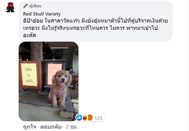 วีรกรรมป้าอุ้มหมาเข้าเซเว่น