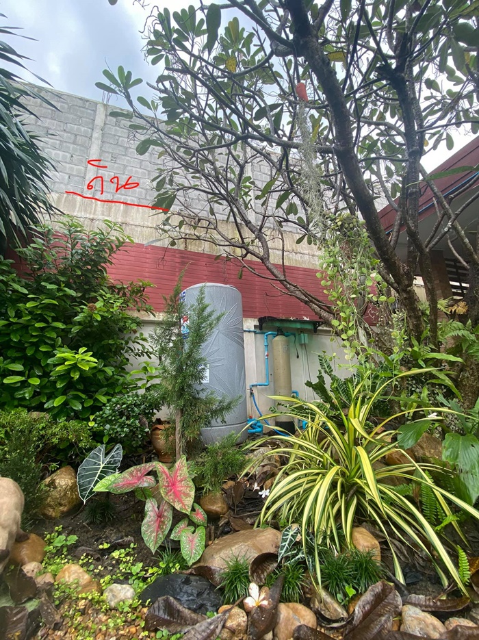 เพื่อนบ้านถมดินสูง