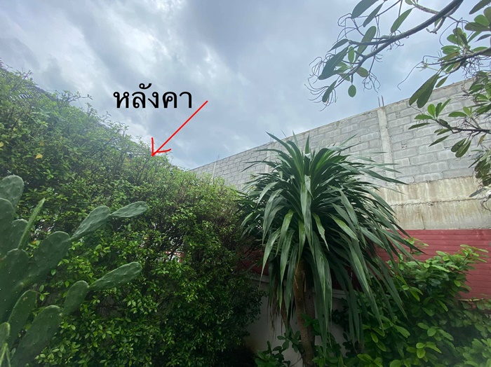 เพื่อนบ้านถมดินสูง