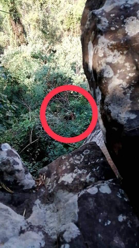 พลัดตกหน้าผา  