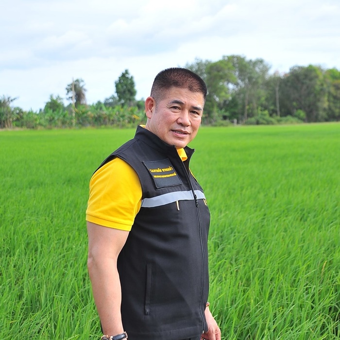 การเมืองไทย