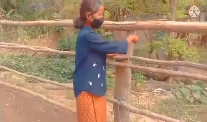   ข่มขืนควายสาวคาบ้าน