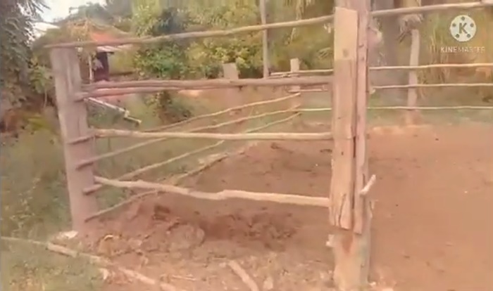   ข่มขืนควายสาวคาบ้าน