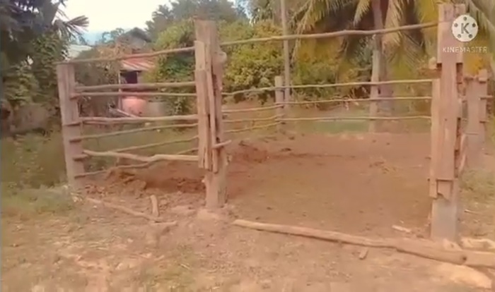   ข่มขืนควายสาวคาบ้าน