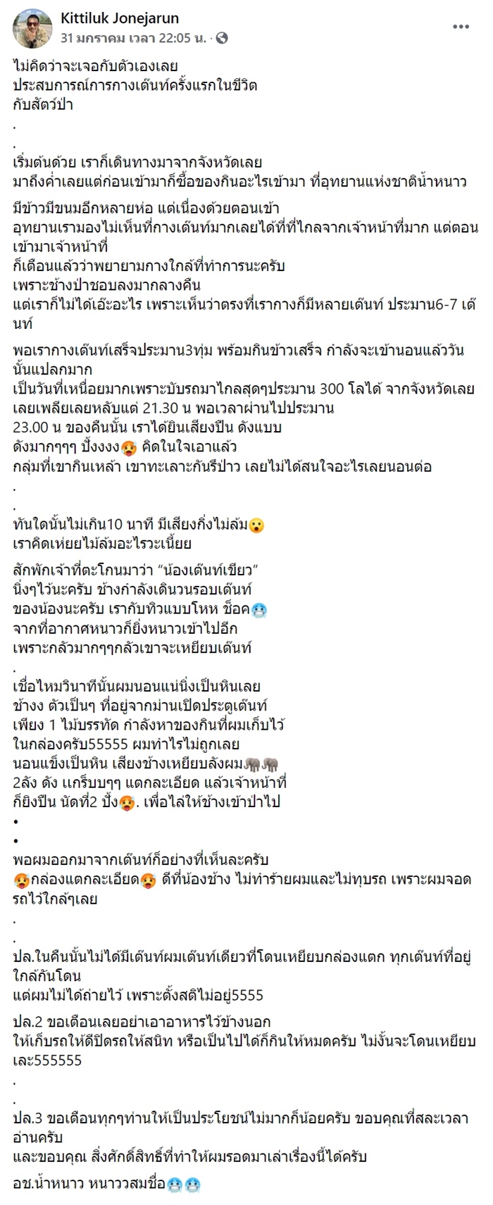 ช้างป่า