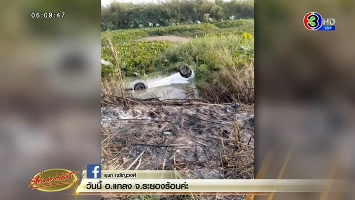   หลบตัวเงินตัวทอง หลบปลิง