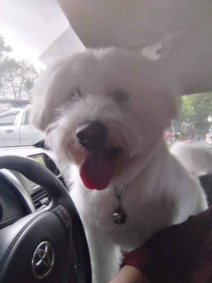 คุณแจ็คกี้ เซ็นรับพัสด 