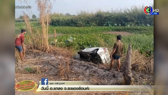   หลบตัวเงินตัวทอง หลบปลิง