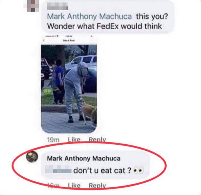 คืบคดีสาวไทยโดนรุมจนแมวตาย 