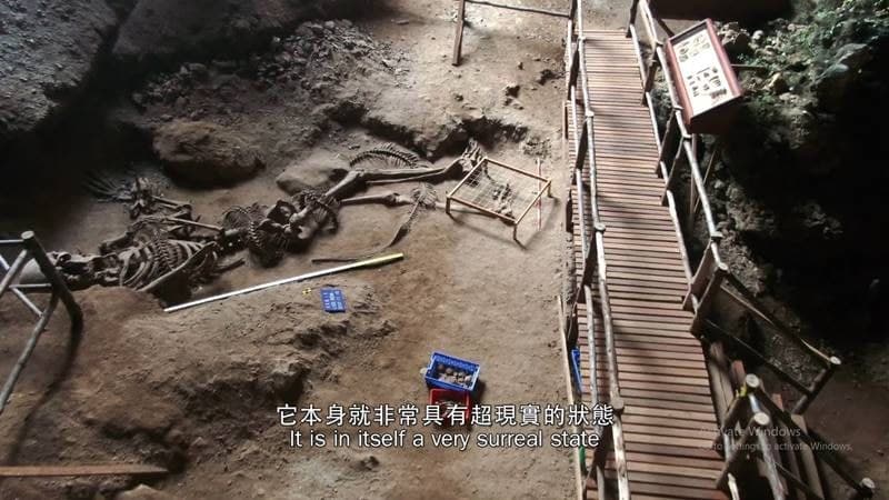 โครงกระดูก