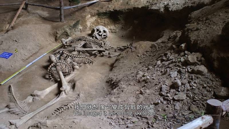 โครงกระดูก