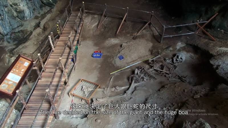 โครงกระดูก