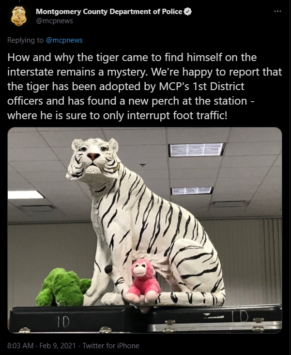 จับเสือ