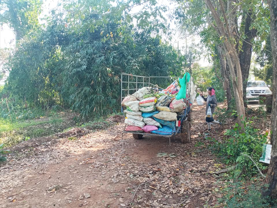 ขายข้าวโพด