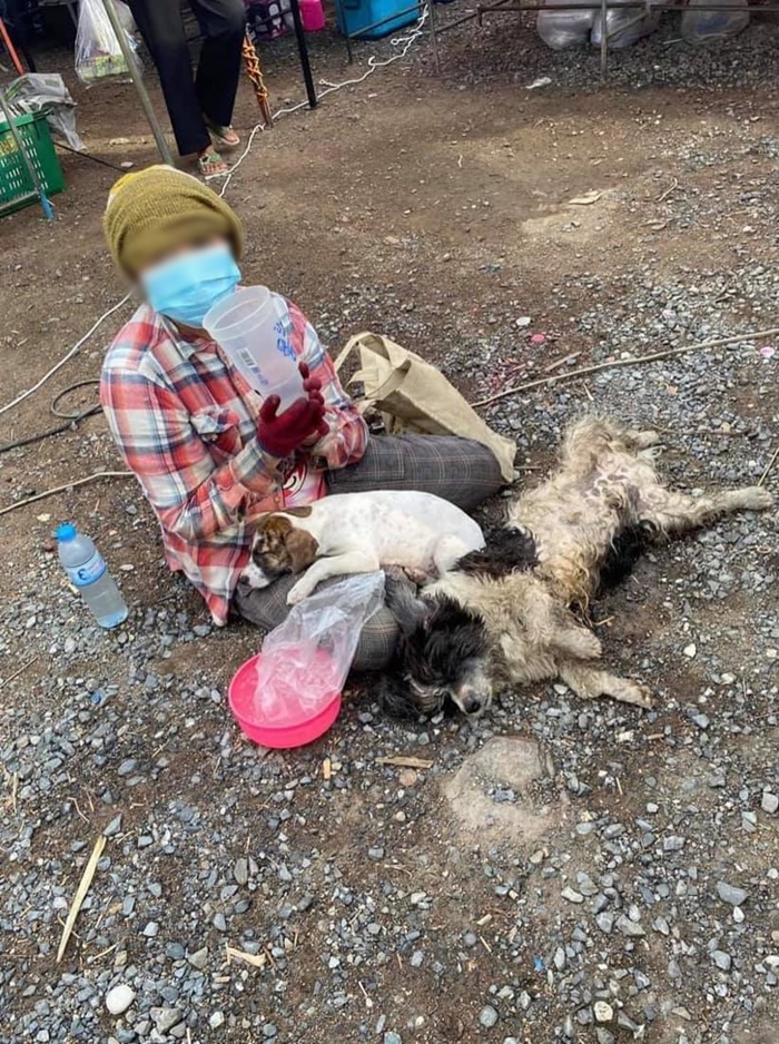 บูม หมูทะ 