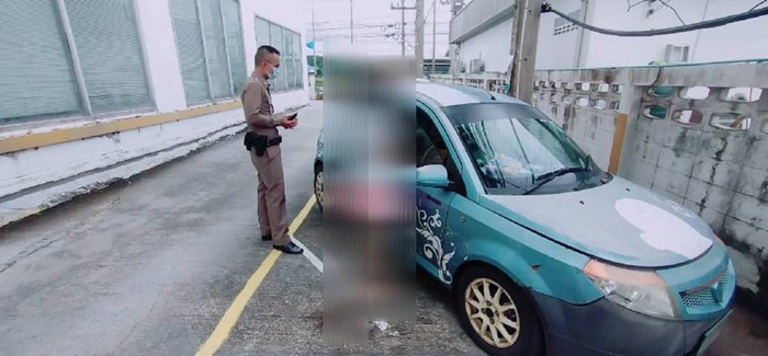 หมาพิตบูล