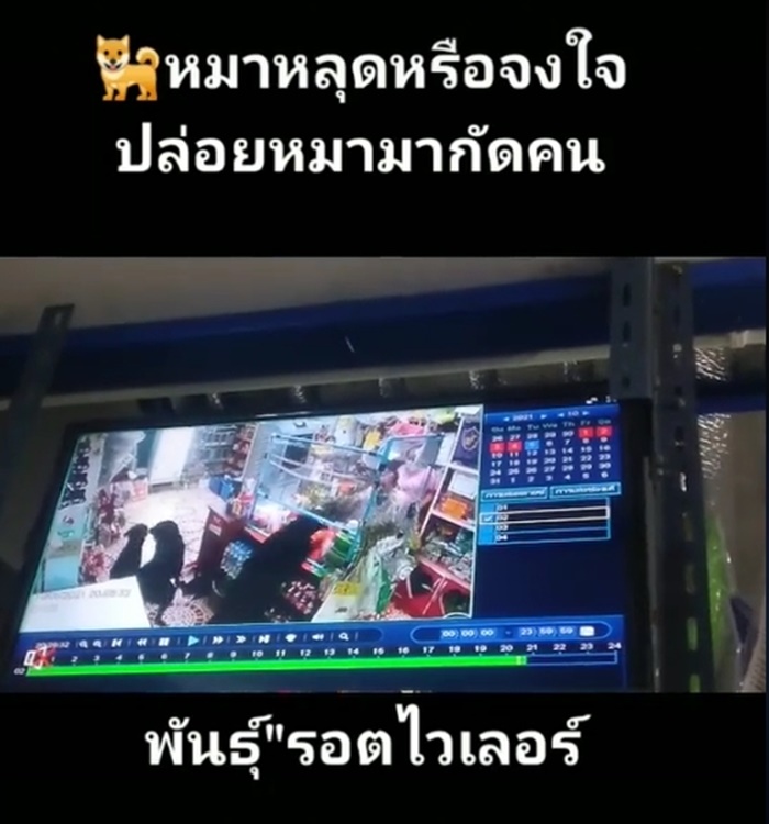 หมากัดชาวบ้าน