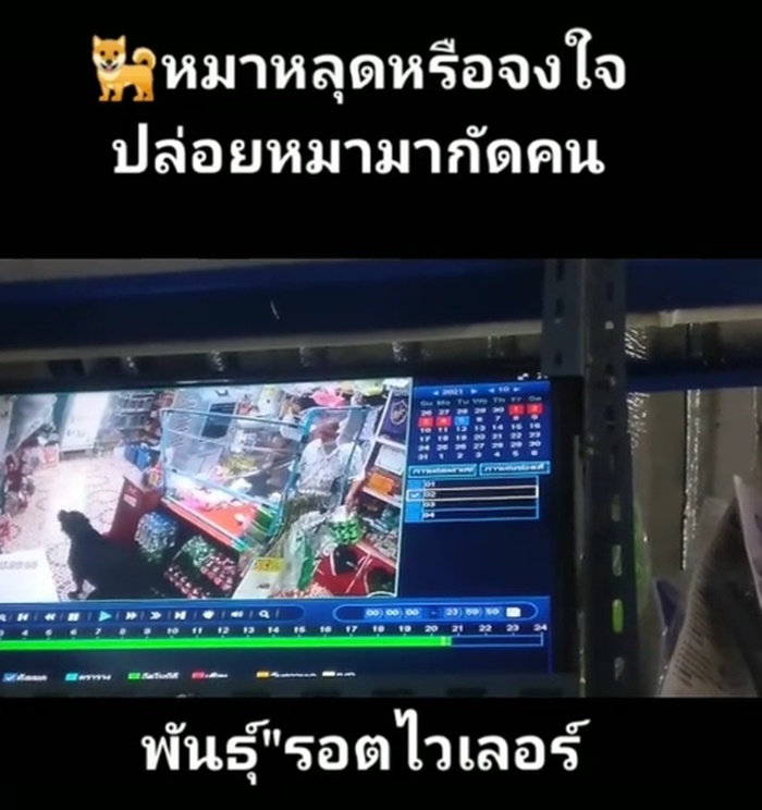 หมากัดชาวบ้าน