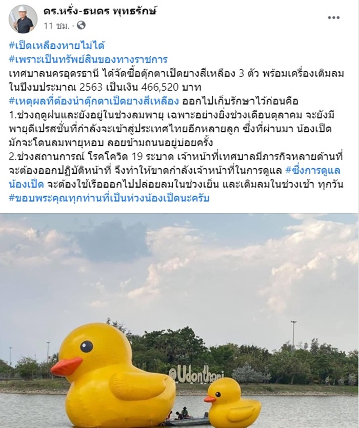 เป็ดเหลือง 