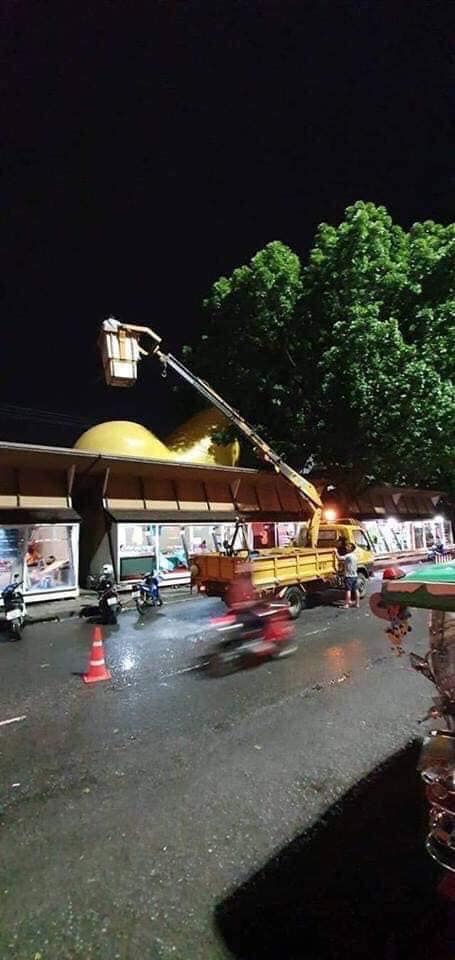 เป็ดเหลือง 