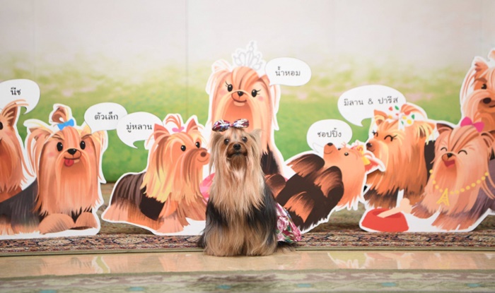  สมเด็จพระเจ้าลูกเธอ เจ้าฟ้าสิริวัณณวรี