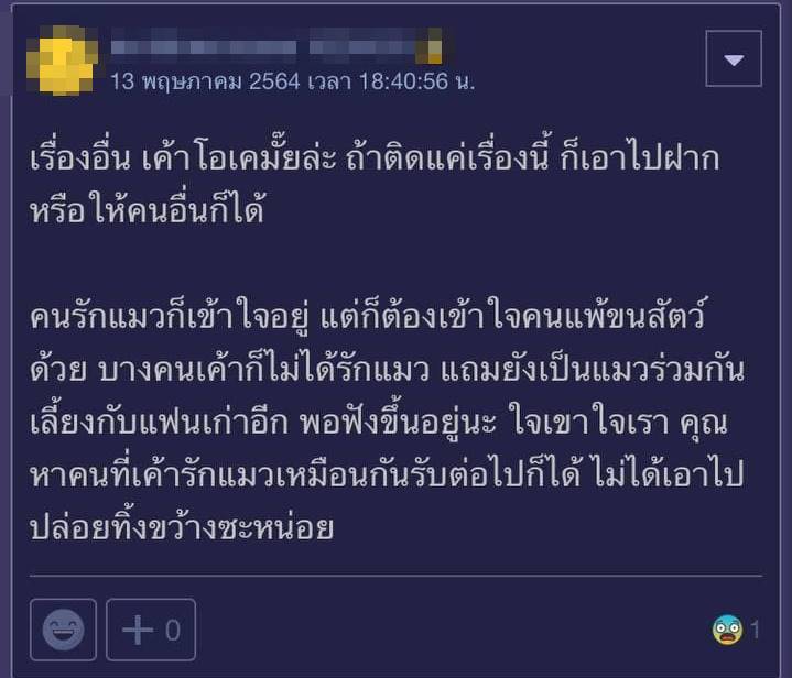 แมวกับแฟน