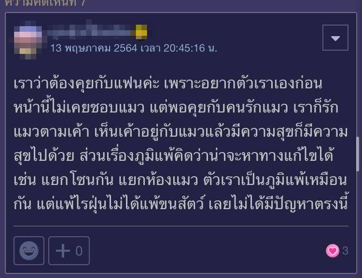 แมวกับแฟน