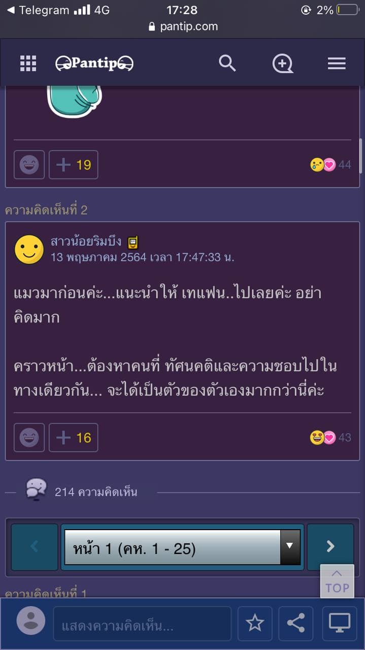 แมวกับแฟน