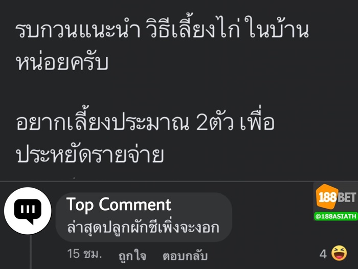 เลี้ยงไก่