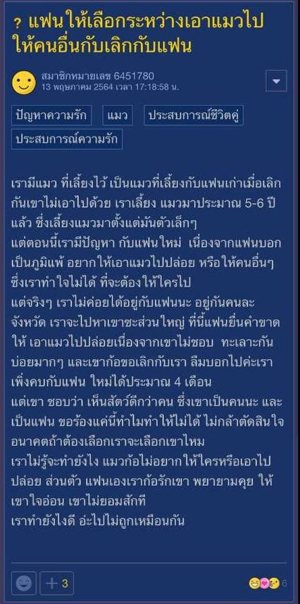 แมวกับแฟน