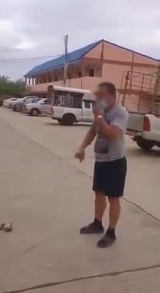  ขับรถทับหมา 