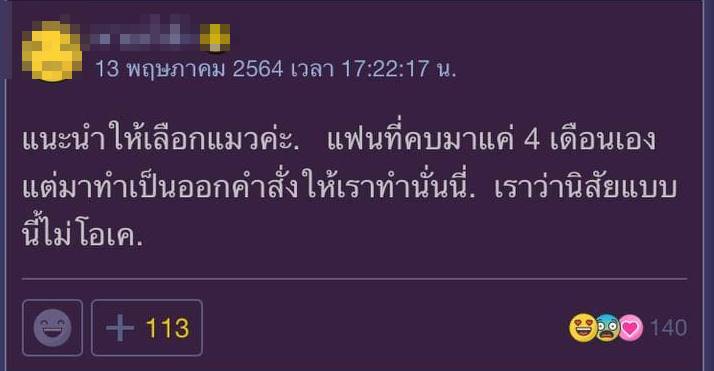 แมวกับแฟน