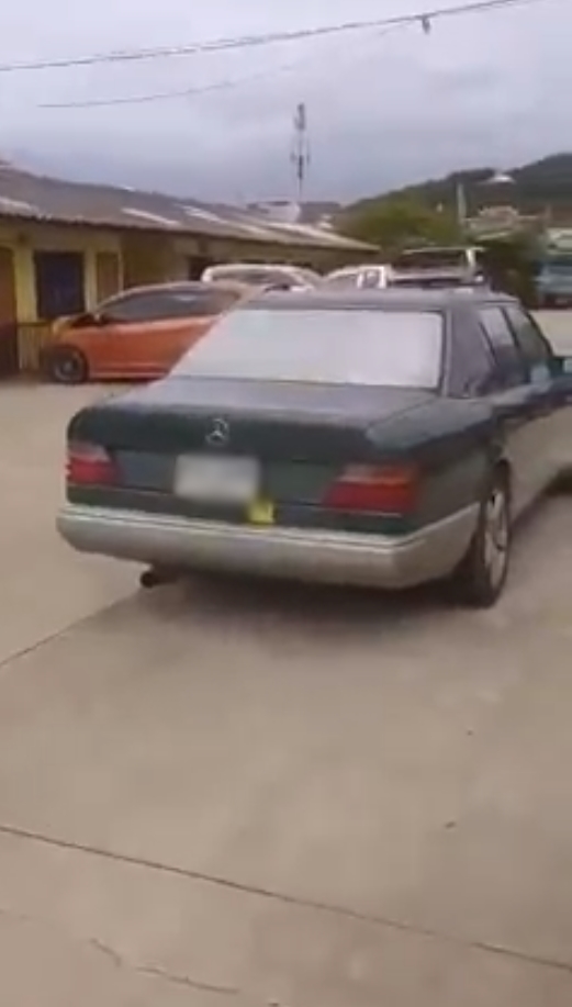  ขับรถทับหมา 