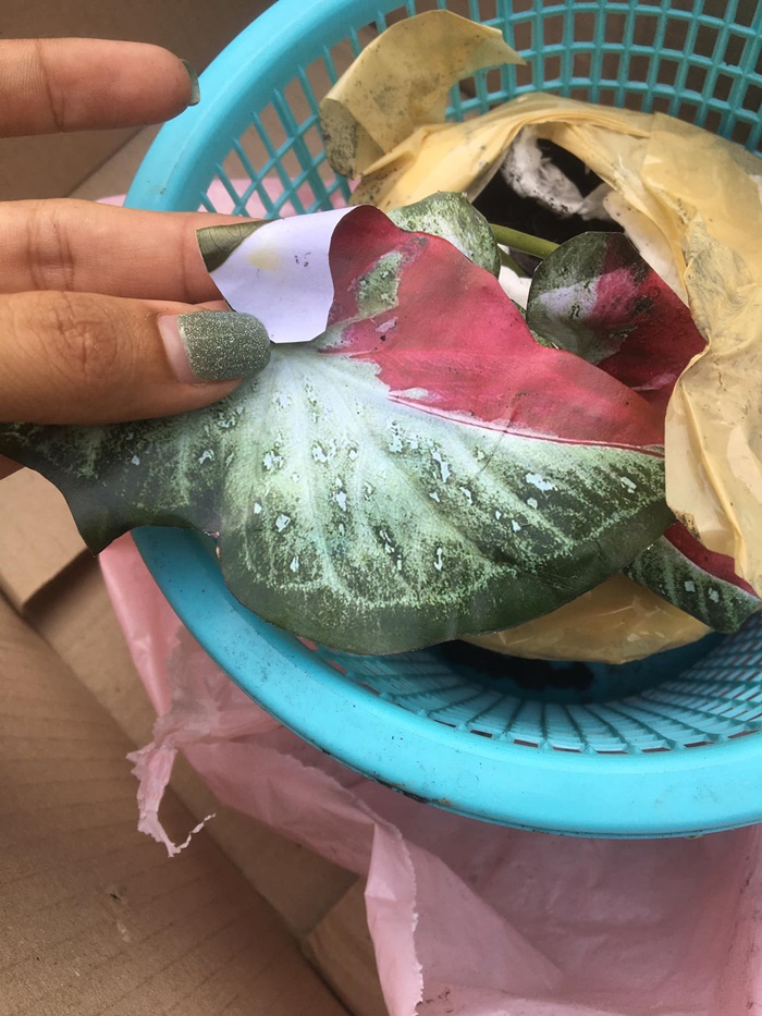  หลอกขายว่าแย่แล้ว  