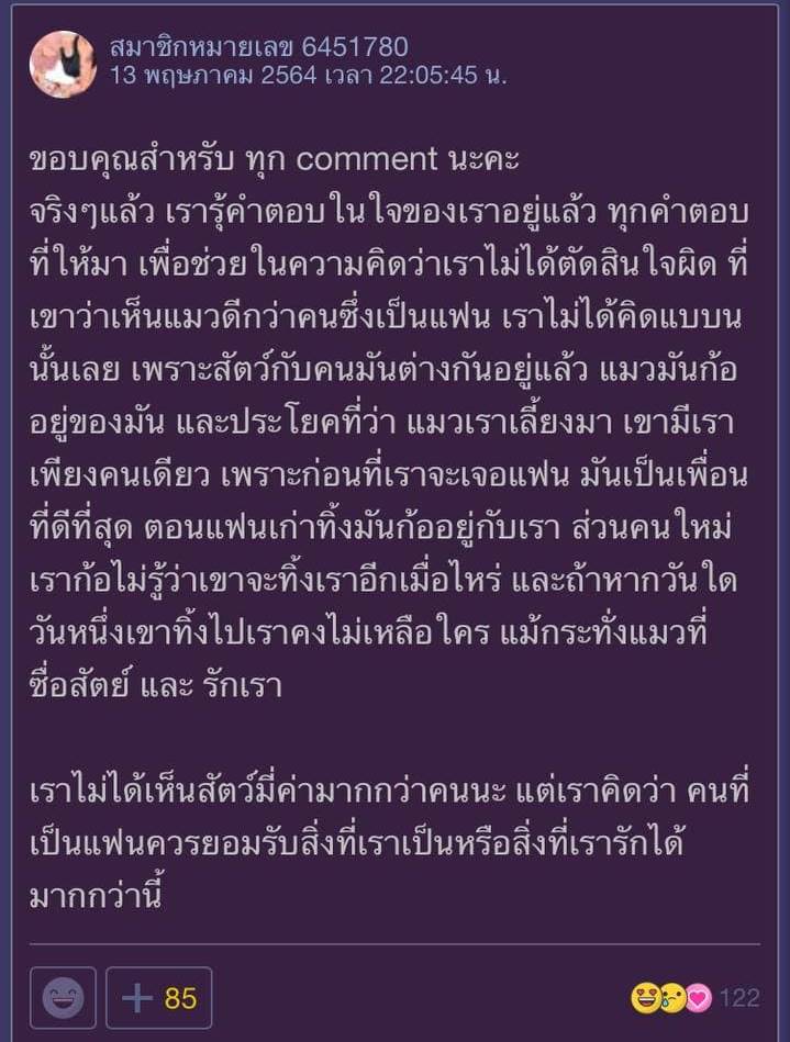 แมวกับแฟน