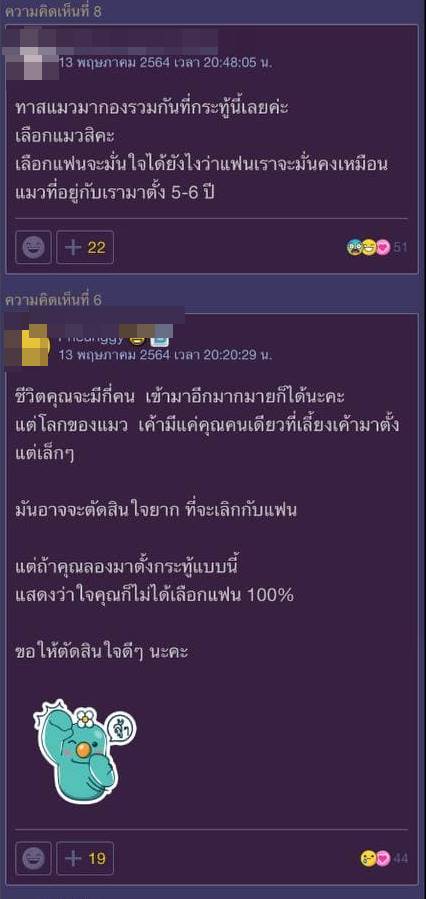 แมวกับแฟน