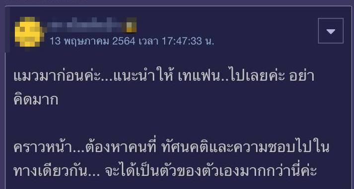 แมวกับแฟน