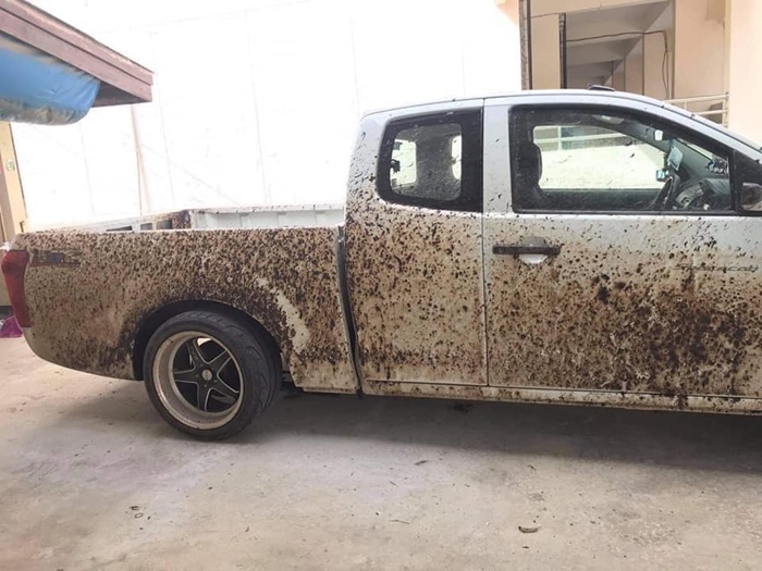 เละขนาดนี้ ใครรับผิดชอบ !