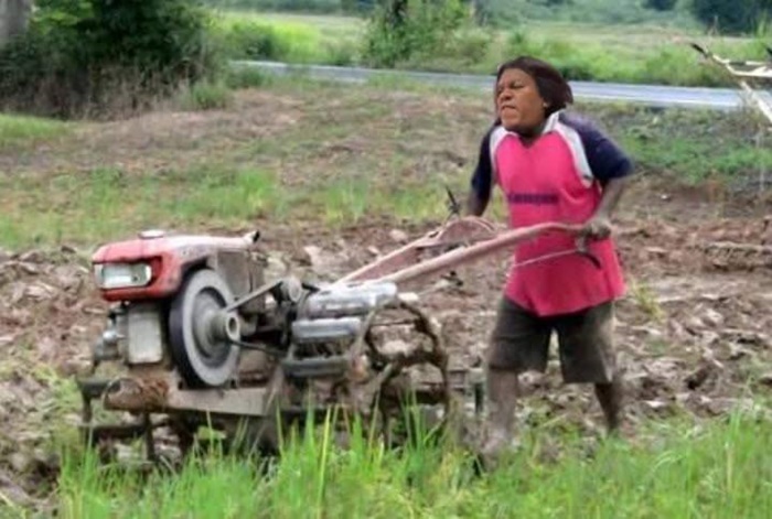 พระมหาเทวีเจ้า เธอเป็นใคร  