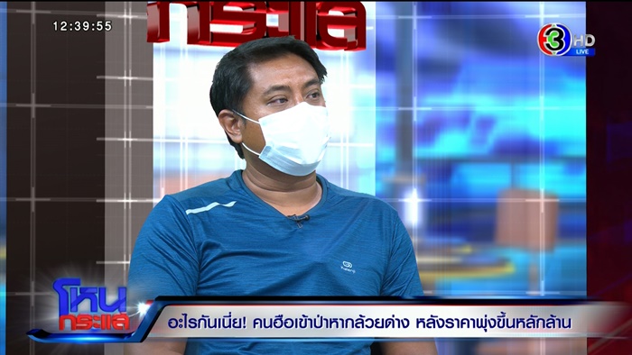 กล้วยด่าง