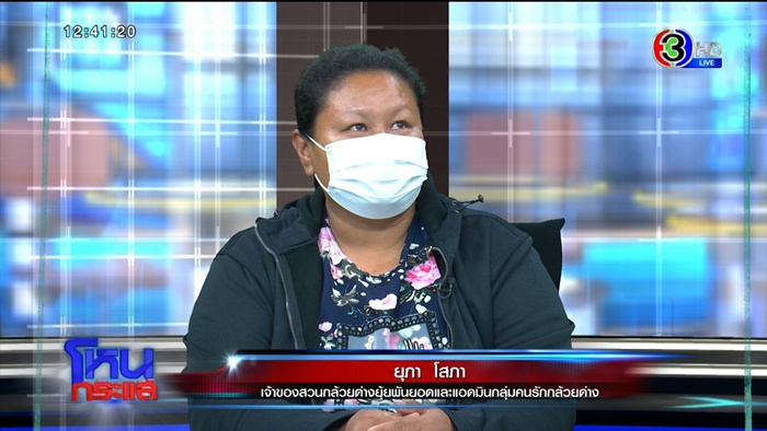 กล้วยด่าง