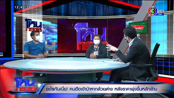 กล้วยด่าง