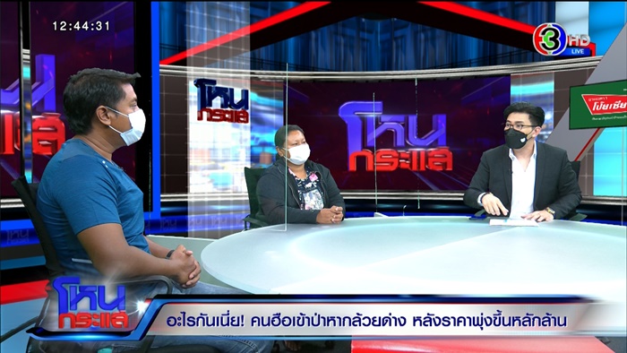 กล้วยด่าง