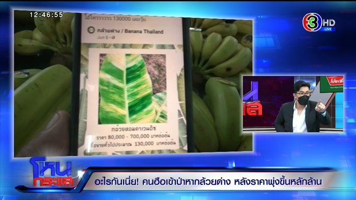 กล้วยด่าง