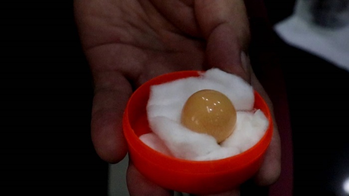 มุกเมโล 