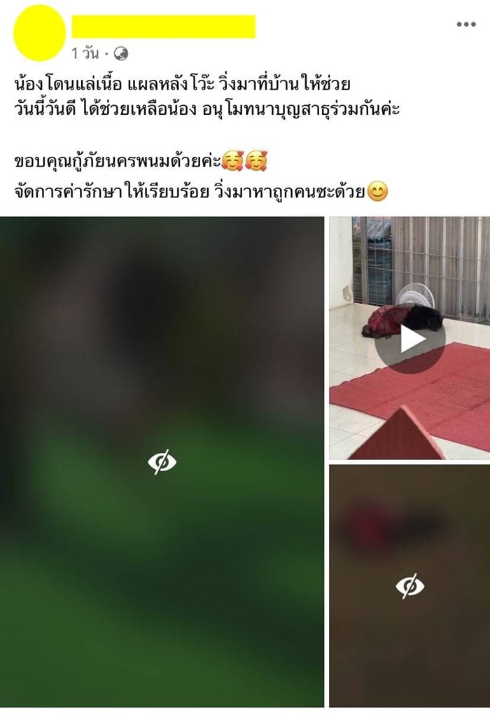 แฉเพจดังขโมยรูปหมาป่วย 