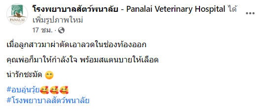 ห่าน