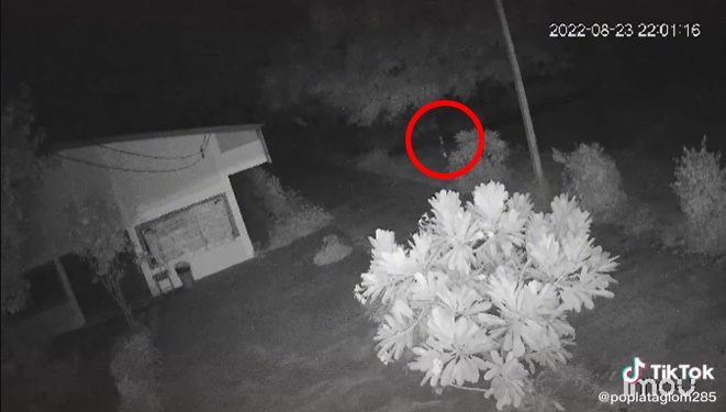 ผีกระสือ